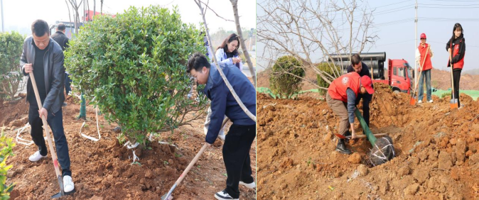 0239a169818a2d8066a1449a171eff61